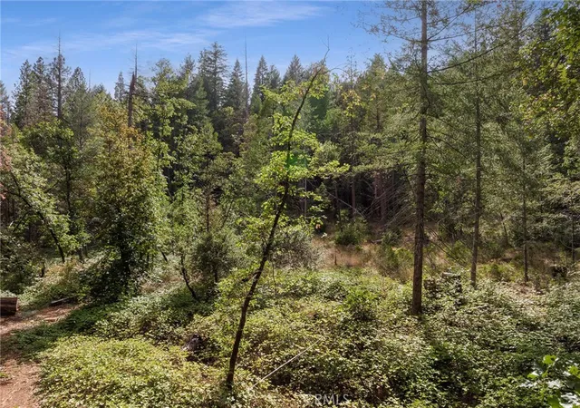Photo 4 of Land for sale at 0 Tranquility/skyway, Magalia, CA 95954 | MLS# SN26033173 | Listing updated on 2026-08-31