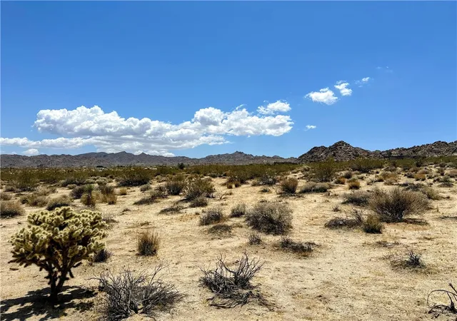 2nd image of 64100 Sullivan Rd, Joshua Tree, CA 92252 | MLS# JT26034091
