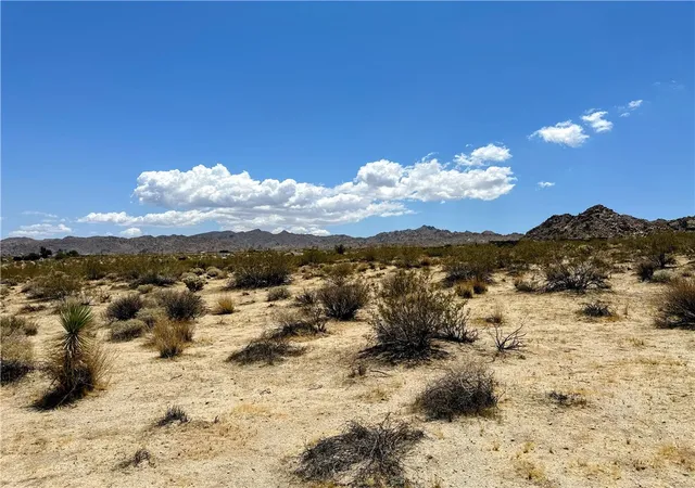 5th image of 64100 Sullivan Rd, Joshua Tree, CA 92252 | MLS# JT26034091
