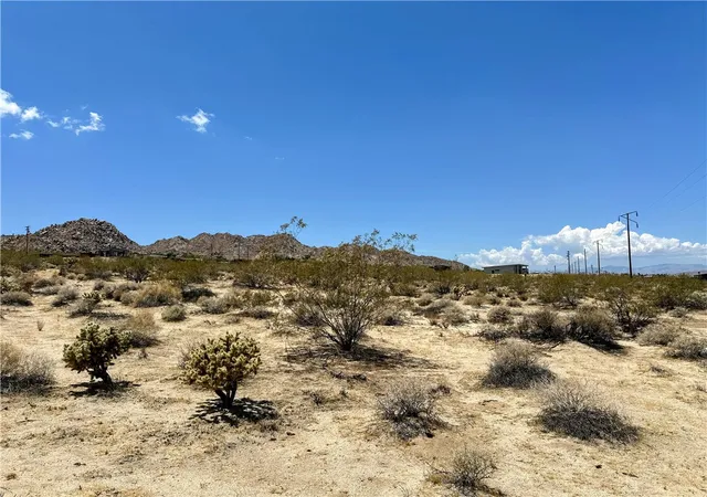 4th image of 64200 Sullivan, Joshua Tree, CA 92252 | MLS# JT26034094