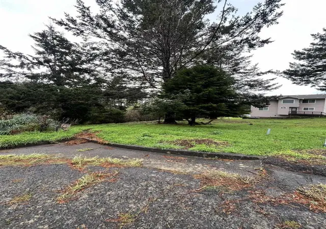 6th image of 22 22 Spruce Ct, Whitethorn, CA 95589 | MLS# 41124129