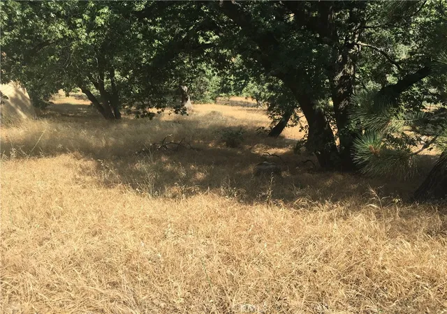 1st image of 30481 Live Oak, Running Springs, CA 92382 | MLS# HD26034504