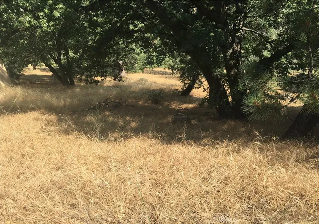 2nd image of 30481 Live Oak, Running Springs, CA 92382 | MLS# HD26034504