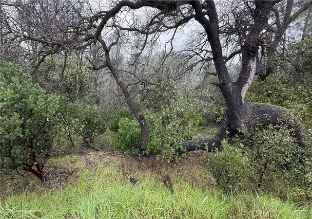 12th image of 16370 Oakridge Rd, Corning, CA 96021 | MLS# SN26035112