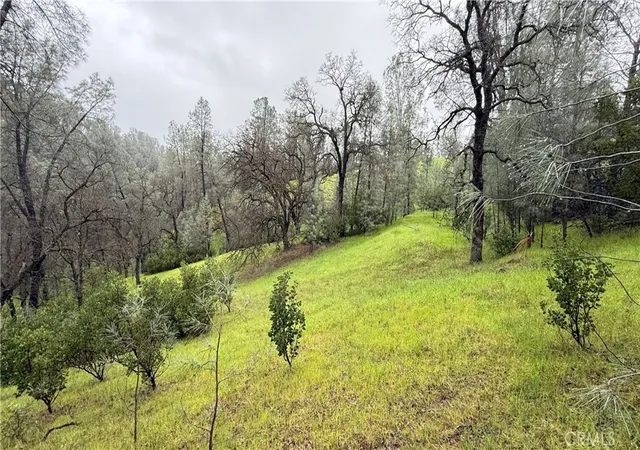 1st image of 16370 Oakridge Rd, Corning, CA 96021 | MLS# SN26035112