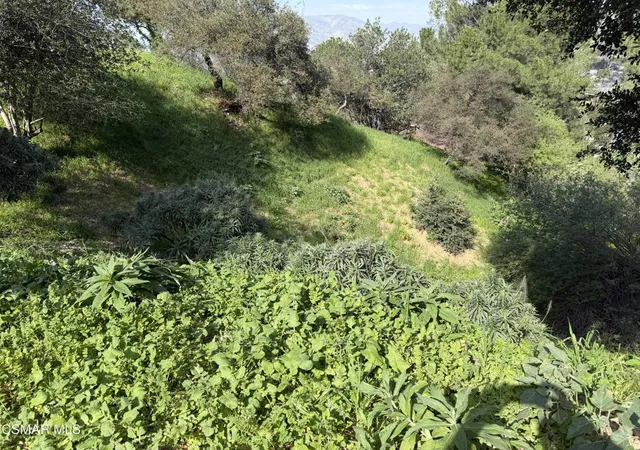 2nd image of Flora Morgan Trail, Tujunga, CA 91042 | MLS# 226000729