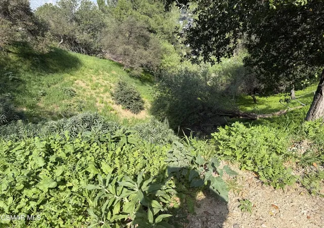 3rd image of Flora Morgan Trail, Tujunga, CA 91042 | MLS# 226000729