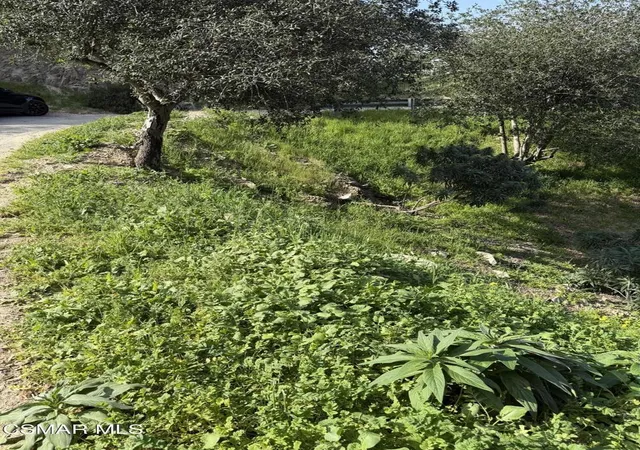 4th image of Flora Morgan Trail, Tujunga, CA 91042 | MLS# 226000729