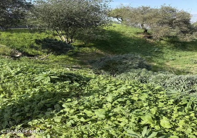 5th image of Flora Morgan Trail, Tujunga, CA 91042 | MLS# 226000729