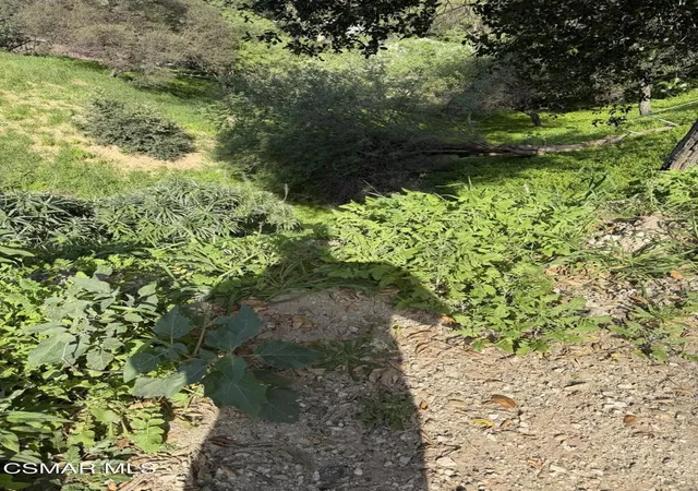 7th image of Flora Morgan Trail, Tujunga, CA 91042 | MLS# 226000729