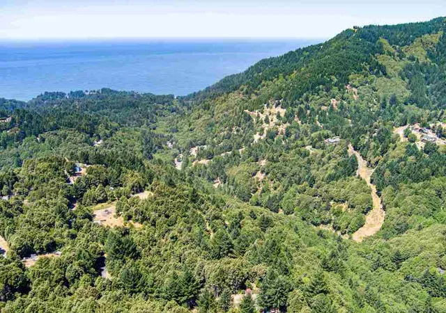 3rd image of 91 91 Walker Way, Whitethorn, CA 95589 | MLS# 41124226