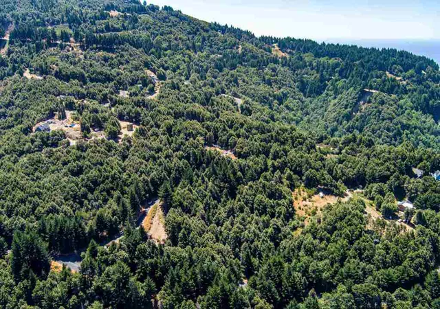 5th image of 91 91 Walker Way, Whitethorn, CA 95589 | MLS# 41124226