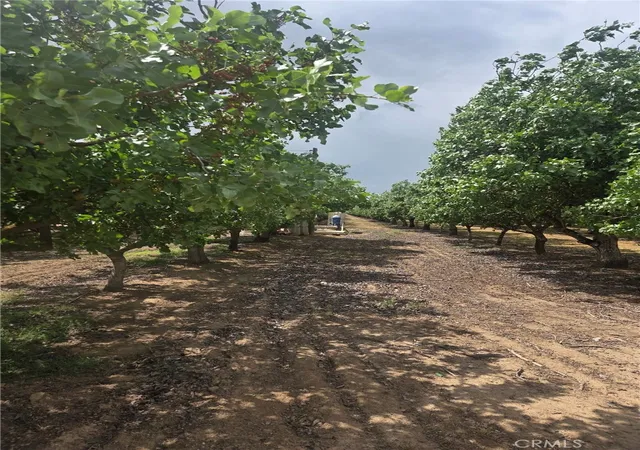 Photo 3 of Land for sale at 0 Santa Fe, Chowchilla, CA 93610 | MLS# MD26035901 | Listing updated on 2026-04-11
