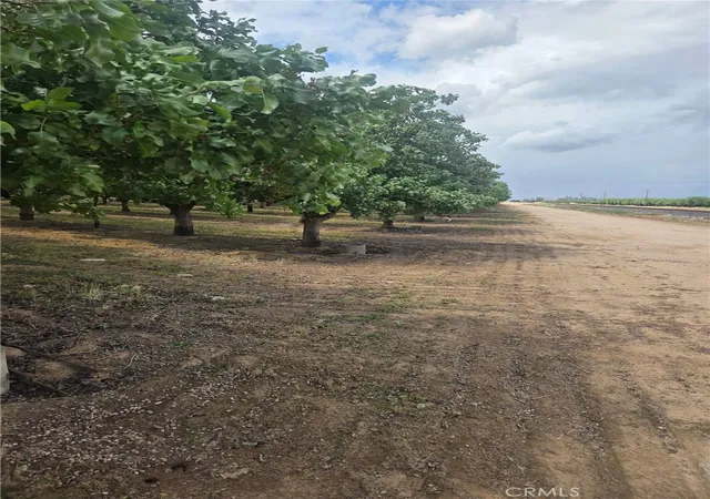 Photo 3 of Land for sale at 0 Santa Fe, Chowchilla, CA 93610 | MLS# MD26035901 | Listing updated on 2026-04-11