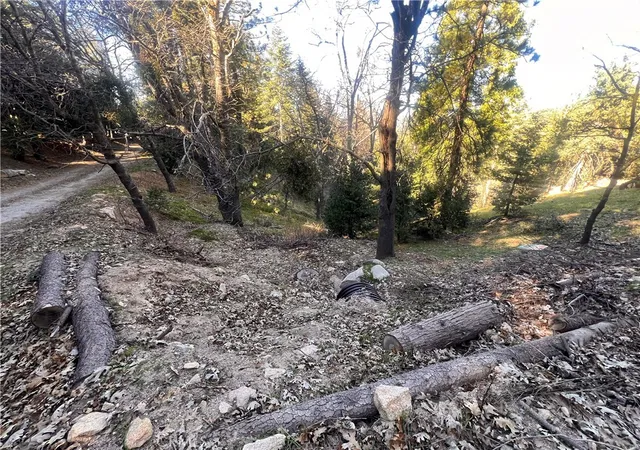 20th image of 24989 Highland, Crestline, CA 92325 | MLS# IG26036112