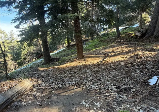 3rd image of 24989 Highland, Crestline, CA 92325 | MLS# IG26036112