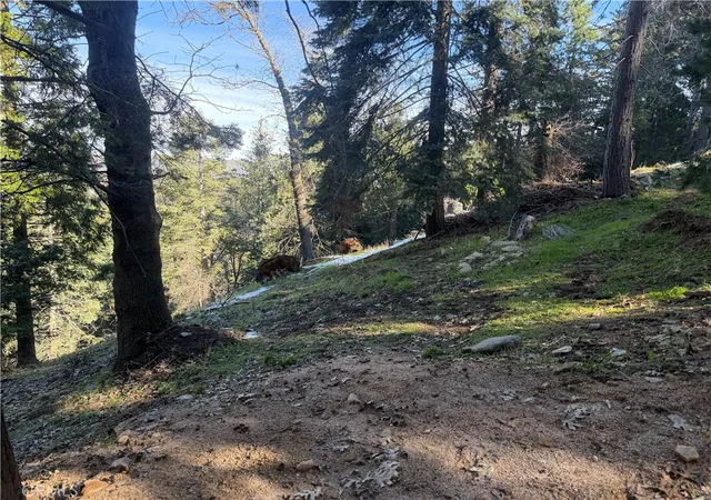 4th image of 24989 Highland, Crestline, CA 92325 | MLS# IG26036112