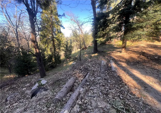 5th image of 24989 Highland, Crestline, CA 92325 | MLS# IG26036112