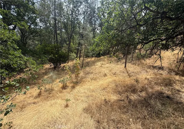 3rd image of 16295 Hillcrest Dr, Corning, CA 96021 | MLS# SN26036439
