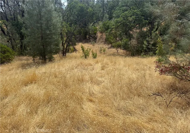 4th image of 16295 Hillcrest Dr, Corning, CA 96021 | MLS# SN26036439