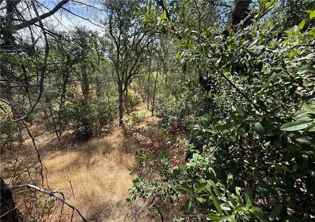 1st image of 16305 Hillcrest Dr, Corning, CA 96021 | MLS# SN26036441