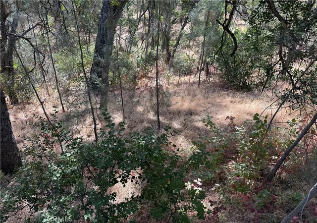 2nd image of 16305 Hillcrest Dr, Corning, CA 96021 | MLS# SN26036441
