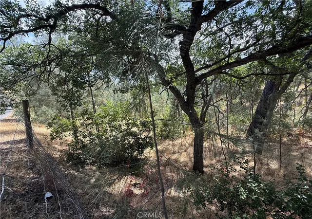 Photo 3 of Land for sale at 16305 Hillcrest Dr, Corning, CA 96021 | MLS# SN26036441 | Listing updated on 2026-02-18
