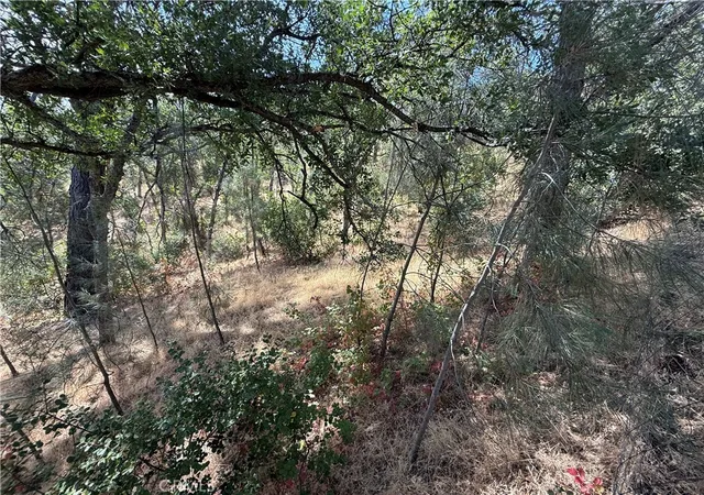 4th image of 16305 Hillcrest Dr, Corning, CA 96021 | MLS# SN26036441