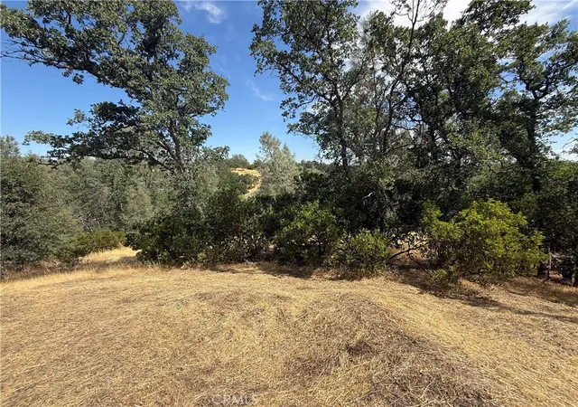 2nd image of 16318 Longhorn Ln, Corning, CA 96021 | MLS# SN26036444