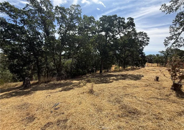 3rd image of 16318 Longhorn Ln, Corning, CA 96021 | MLS# SN26036444