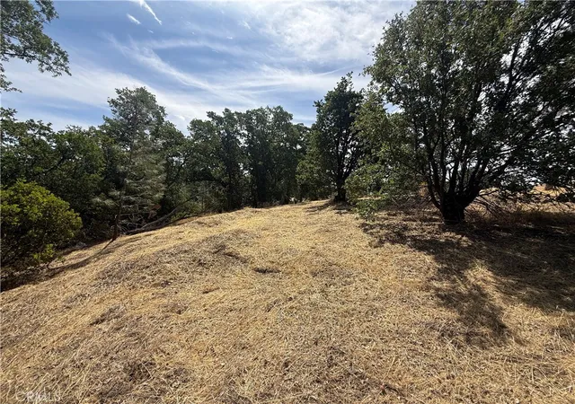 6th image of 16318 Longhorn Ln, Corning, CA 96021 | MLS# SN26036444
