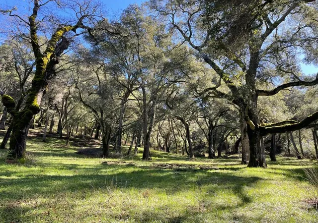1st image of 10 Garzas Trl, Carmel, CA 93923 | MLS# ML82035327
