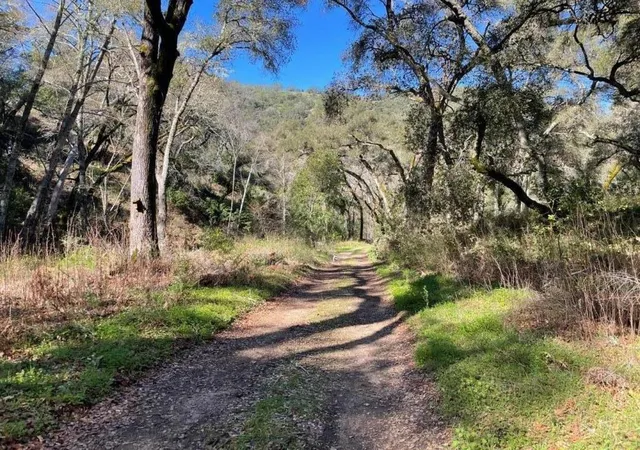 2nd image of 10 Garzas Trl, Carmel, CA 93923 | MLS# ML82035327