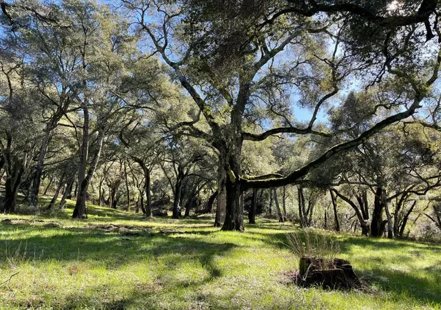 4th image of 10 Garzas Trl, Carmel, CA 93923 | MLS# ML82035327