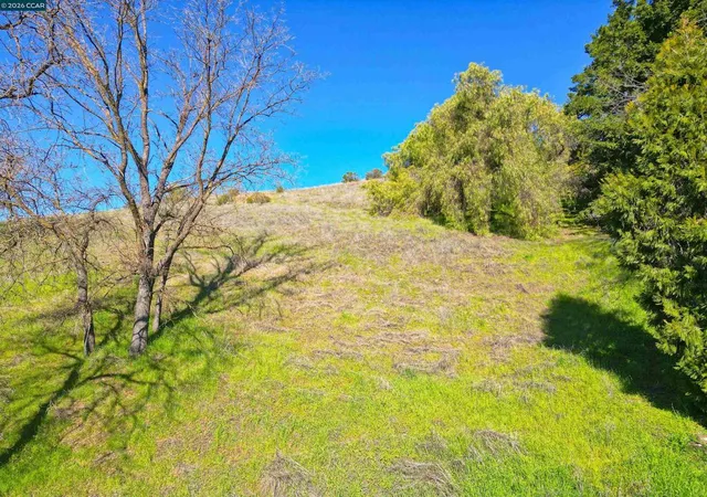 Photo 3 of Land for sale at 2590 Caballo Ranchero Dr, Diablo, CA 94528 | MLS# 41124411 | Listing updated on 2026-07-13