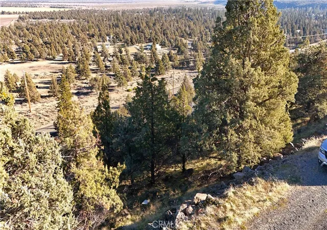 1st image of 44 43 Dwinell Dr, Weed, CA 96094 | MLS# SN26019385