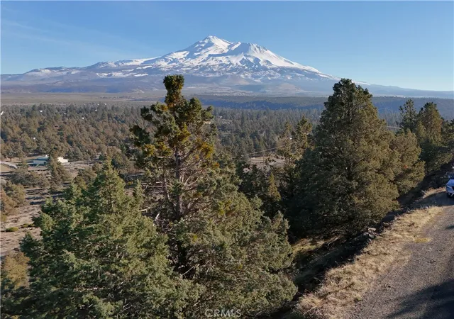 2nd image of 44 43 Dwinell Dr, Weed, CA 96094 | MLS# SN26019385