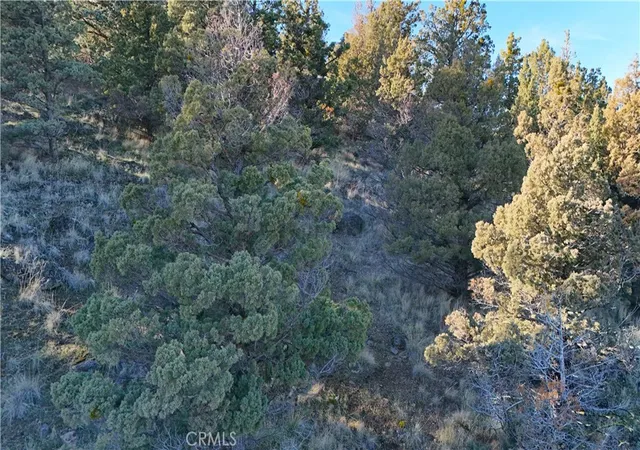 5th image of 44 43 Dwinell Dr, Weed, CA 96094 | MLS# SN26019385