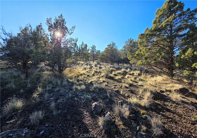 1st image of 25 Quail Ridge, Weed, CA 96094 | MLS# SN26019355