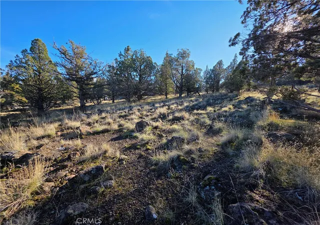 2nd image of 25 Quail Ridge, Weed, CA 96094 | MLS# SN26019355