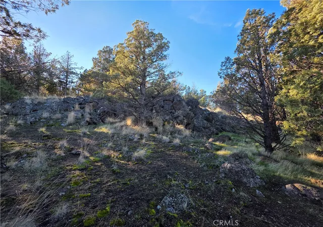 3rd image of 25 Quail Ridge, Weed, CA 96094 | MLS# SN26019355