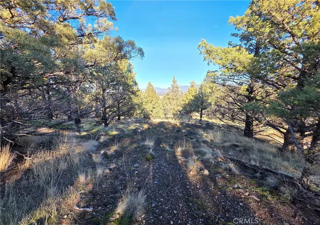 4th image of 25 Quail Ridge, Weed, CA 96094 | MLS# SN26019355