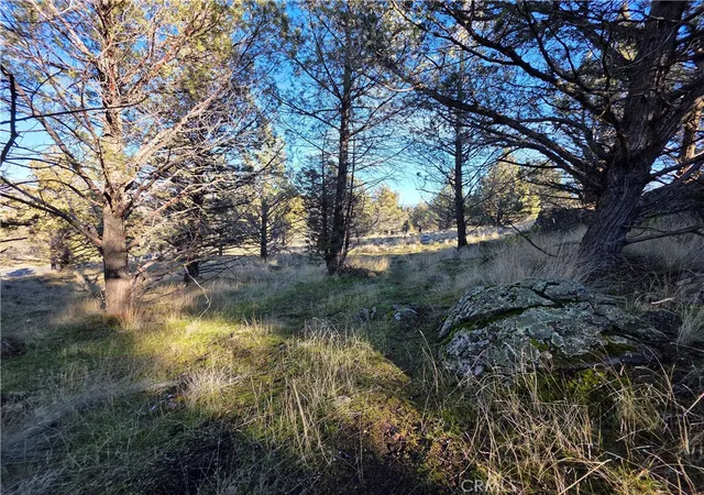 5th image of 25 Quail Ridge, Weed, CA 96094 | MLS# SN26019355