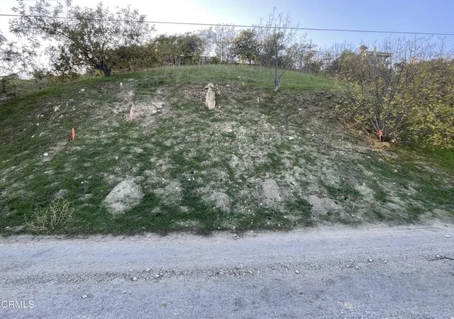 Photo 1 of Land for sale at 0 Forest Park Dr, Los Angeles, CA 90032 | MLS# P1-25959 | Listing updated on 2026-04-02