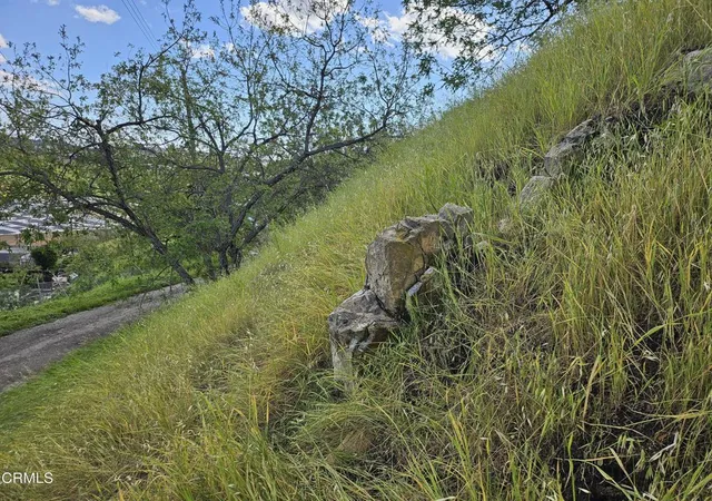 Photo 3 of Land for sale at 0 Forest Park Dr, Los Angeles, CA 90032 | MLS# P1-25959 | Listing updated on 2026-04-02