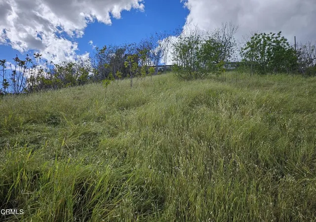 Photo 4 of Land for sale at 0 Forest Park Dr, Los Angeles, CA 90032 | MLS# P1-25959 | Listing updated on 2026-04-02