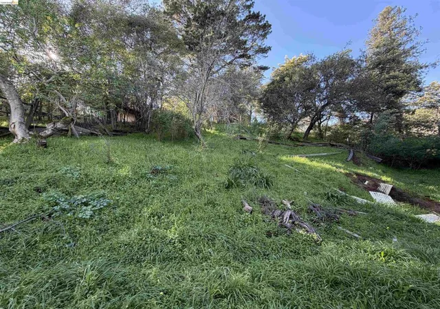 2nd image of 59 , 60 Clayton St, San Rafael, CA 94901 | MLS# 41124872