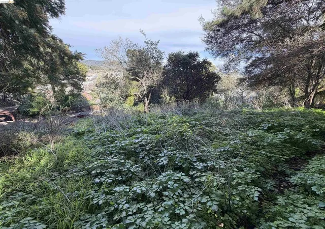 3rd image of 59 , 60 Clayton St, San Rafael, CA 94901 | MLS# 41124872