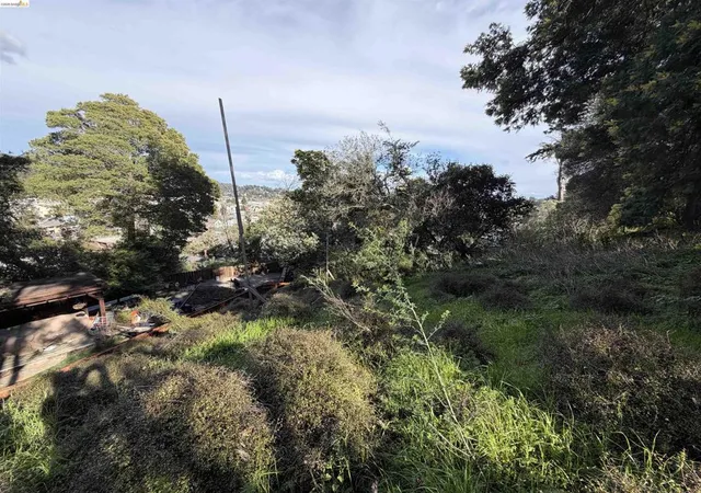 4th image of 59 , 60 Clayton St, San Rafael, CA 94901 | MLS# 41124872