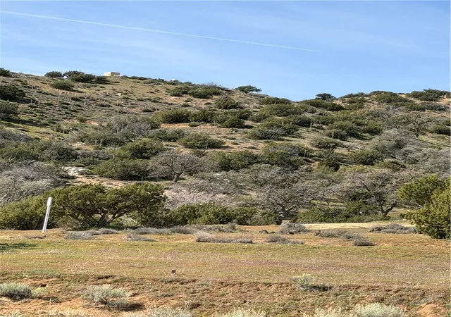 image of 0 Sand Canton, Caliente, CA 93518 | MLS# SR26039487